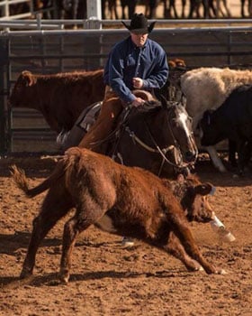 Dr Jerry Longworth Cutting